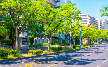 道路維持管理